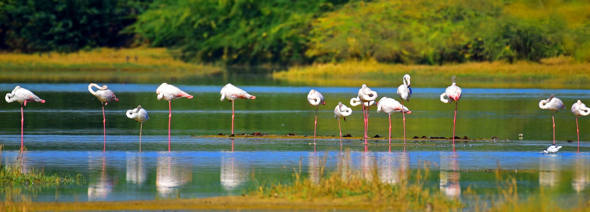 EXPLORE THESE 5 NATURAL WONDERS IN INDIA