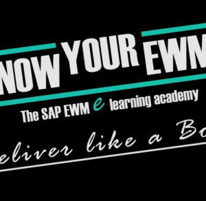 SAP EWM Fundamentals Training Course