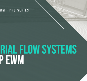 SAP EWM Material Flow Systems / SAP EWM MFS