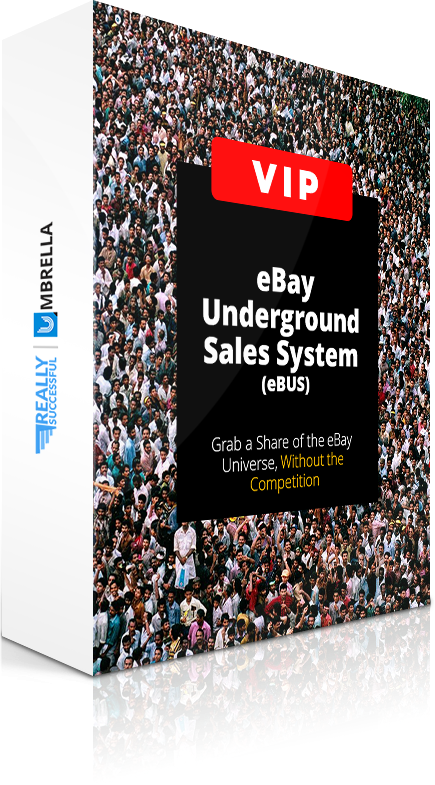Ebus VIP, Done For You Service (ebay system10000 Products)